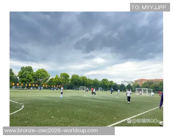 足球小子小林兄弟携手追梦在绿茵场上书写青春传奇