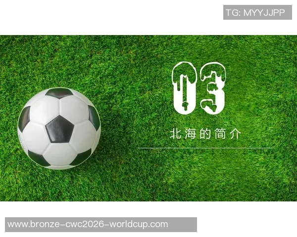 足球课教学PPT课件设计与制作指南助力学生全面提升足球技能与战术理解